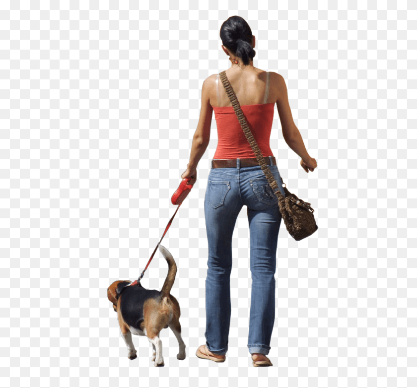 444x722 Gallery For People Walking People Walking Dog, Pants, Clothing, Apparel HD PNG Download