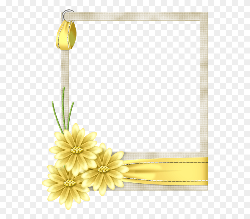 562x677 Gallery Frames Collage Frames Paper Frames Border Yellow Flower, Candle, Beverage, Drink HD PNG Download