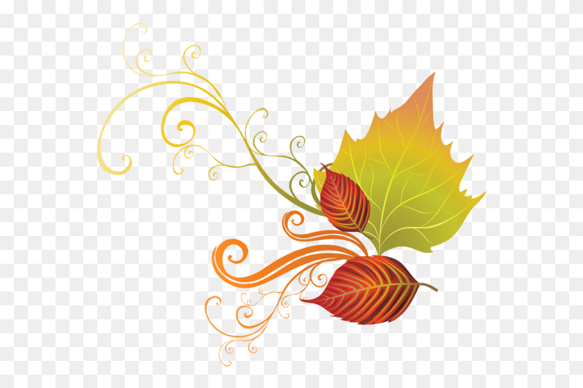 564x499 Gallery Free Clipart Pictureamphellip Fall Leaves Transparent Background Free Thanksgiving Clip Art, Graphics, Floral Design HD PNG Download