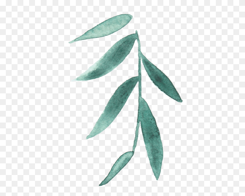 416x612 Галерея One Leaf Minimal, Растение, Дерево, Растительность Hd Png Скачать