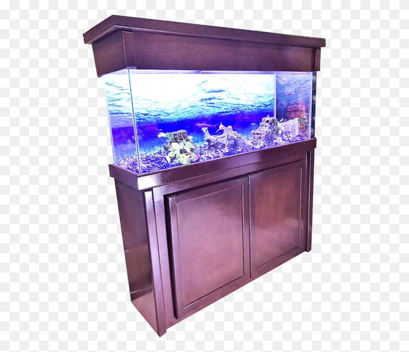 500x663 Gallon Fish Tank Stand Aquarium Lighting, Water, Sea Life, Animal HD PNG Download