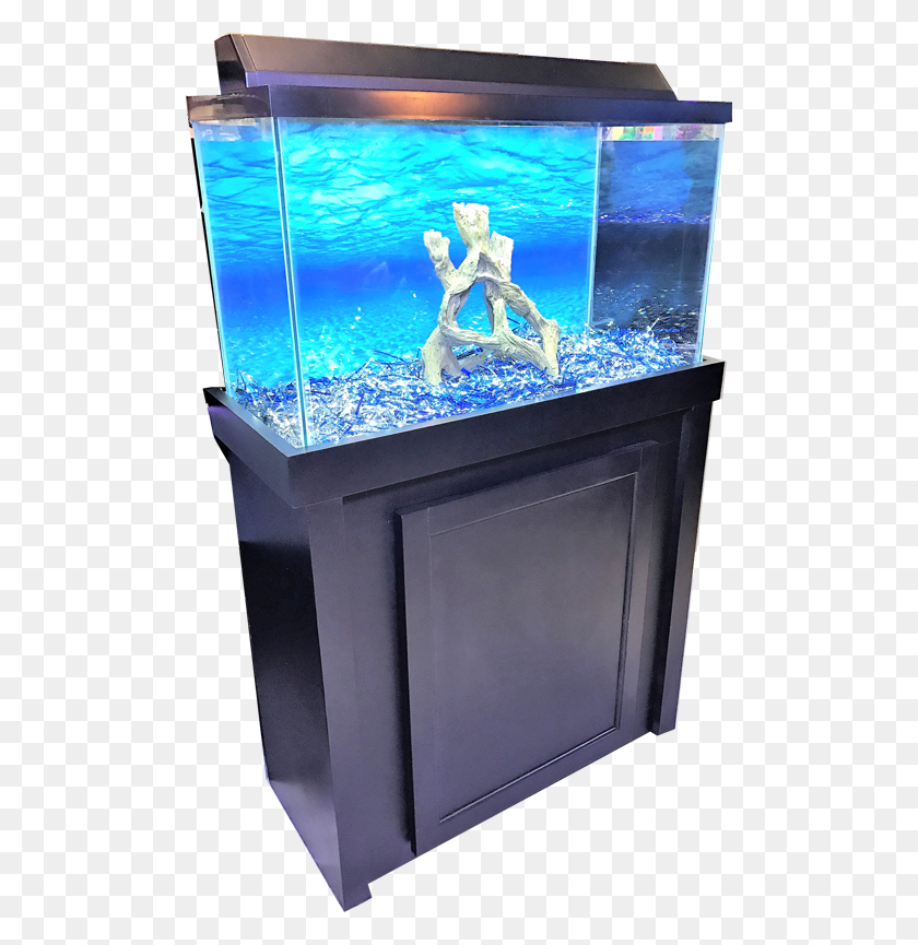 500x805 Галлонная Подставка Для Аквариума, Вода, Аквариум, Морская Жизнь Hd Png Скачать