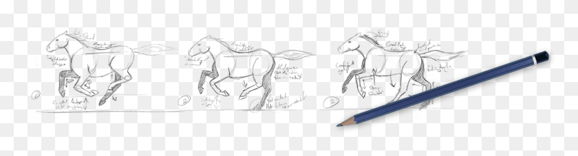 1574x341 Galway Farm Horses Sketch, Clothing, Apparel, Outdoors HD PNG Download