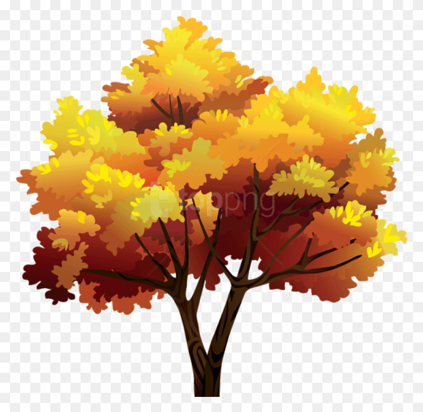 844x821 Gambel Oak, Leaf, Plant, Maple HD PNG Download