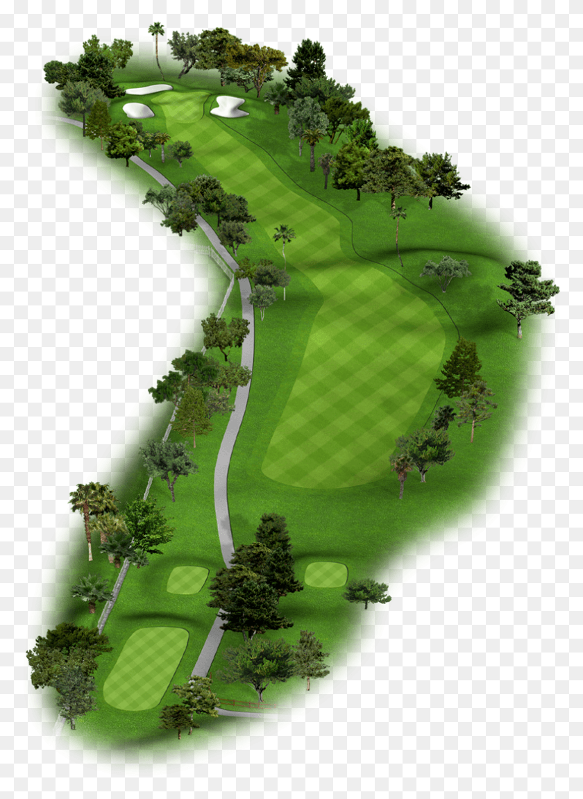 789x1104 Gamblers Corner Tree, Field, Outdoors, Golf Course Descargar Hd Png