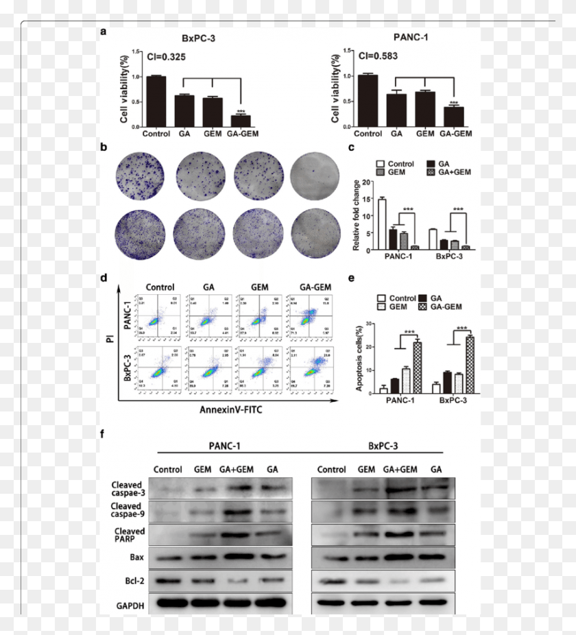 850x944 Gambogic Acid Sensitized Pancreatic Cancer Cell Lines Architecture, Plot, Text, Plan Descargar Hd Png