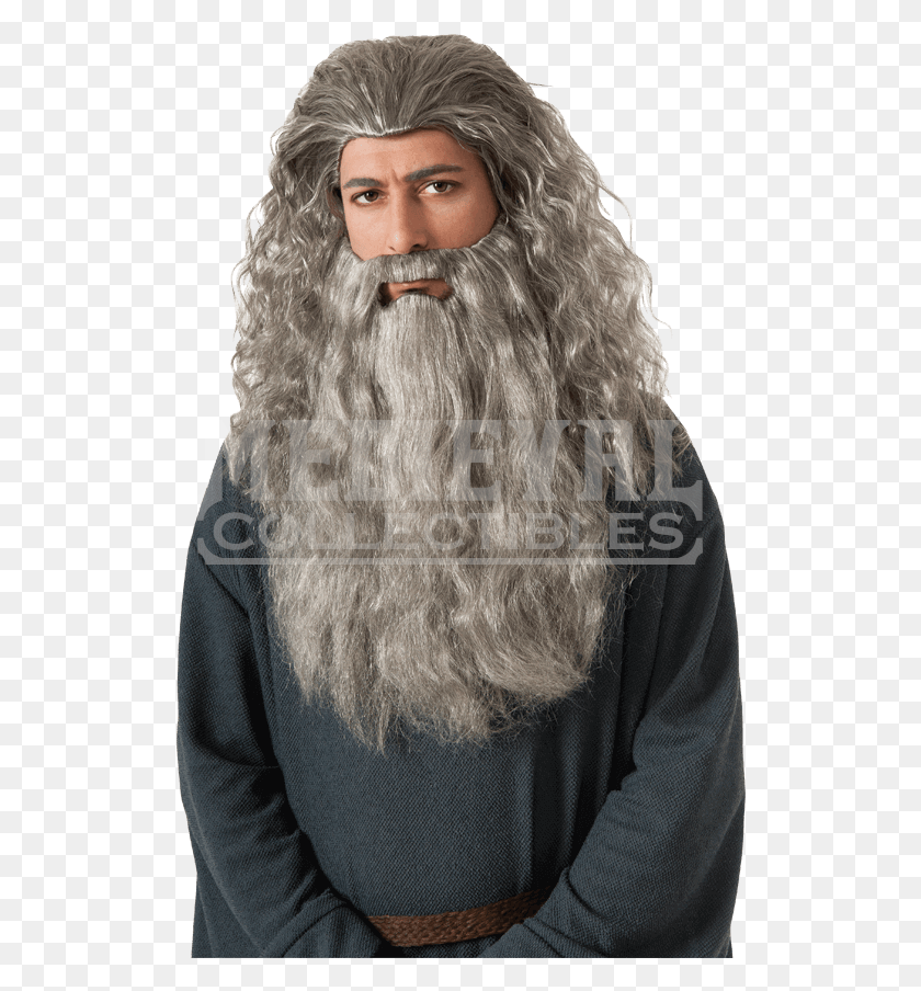 520x844 Gandalf Beard, Face, Person, Human HD PNG Download