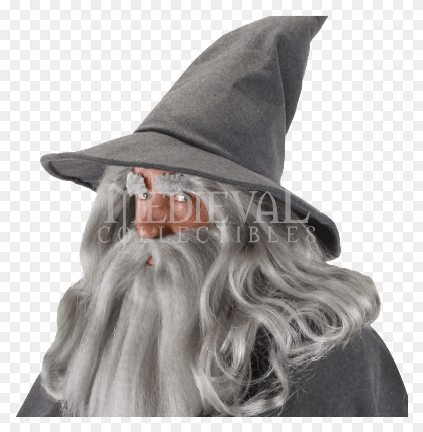 831x851 Gandalf Hat Transparent Gandalf The Grey Costume, Clothing, Apparel, Hood HD PNG Download