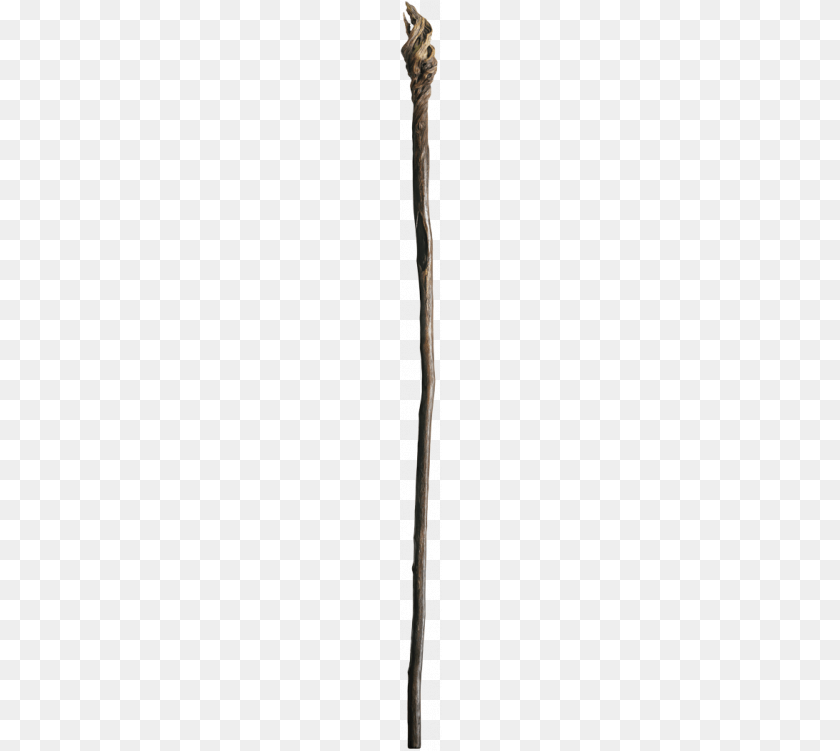 43x751 Gandalf Staff Lance, Stick, Cane Transparent PNG