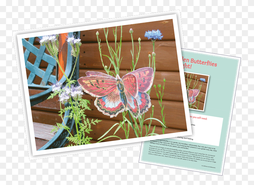 756x554 Garden 3d Butterfly Garden 3d Butterfly Brush Footed Butterfly, Envelope, Mail, Advertisement HD PNG Download