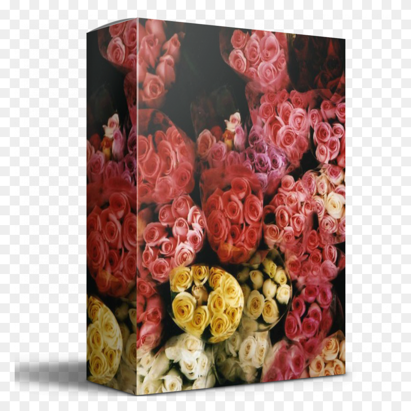 1500x1500 Садовые Розы, Растение, Цветок, Цветочная Композиция Hd Png Скачать