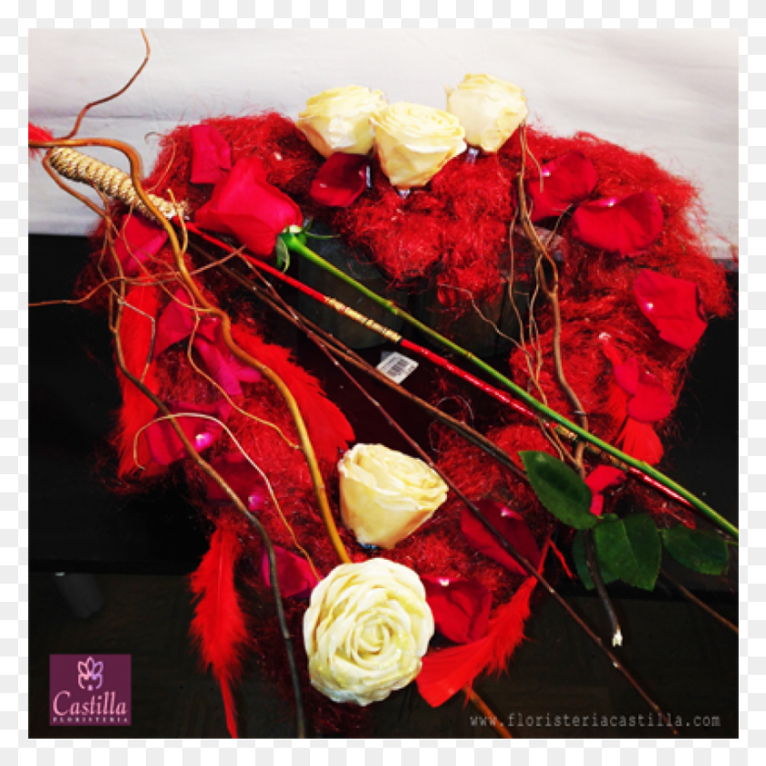 851x851 Garden Roses, Plant, Rose, Flower HD PNG Download