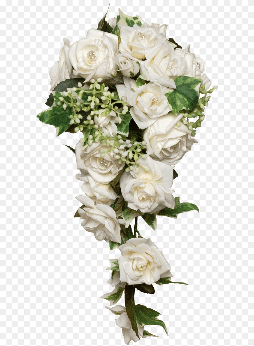 Garden Roses, Flower, Flower Arrangement, Flower Bouquet, Plant Sticker PNG