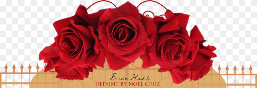 Garden Roses, Flower, Plant, Rose, Flower Arrangement Clipart PNG