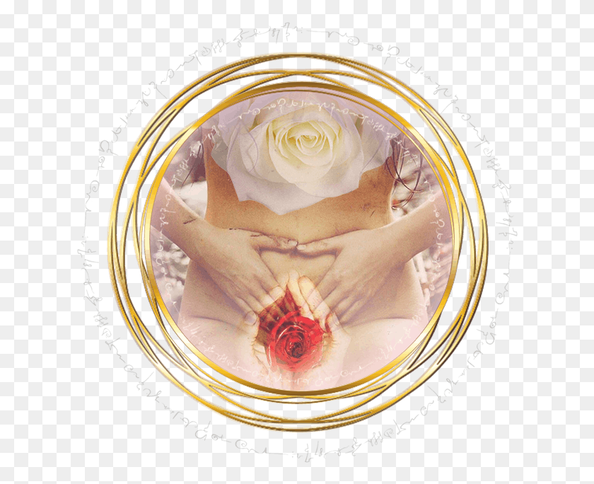 624x624 Garden Roses, Gold HD PNG Download