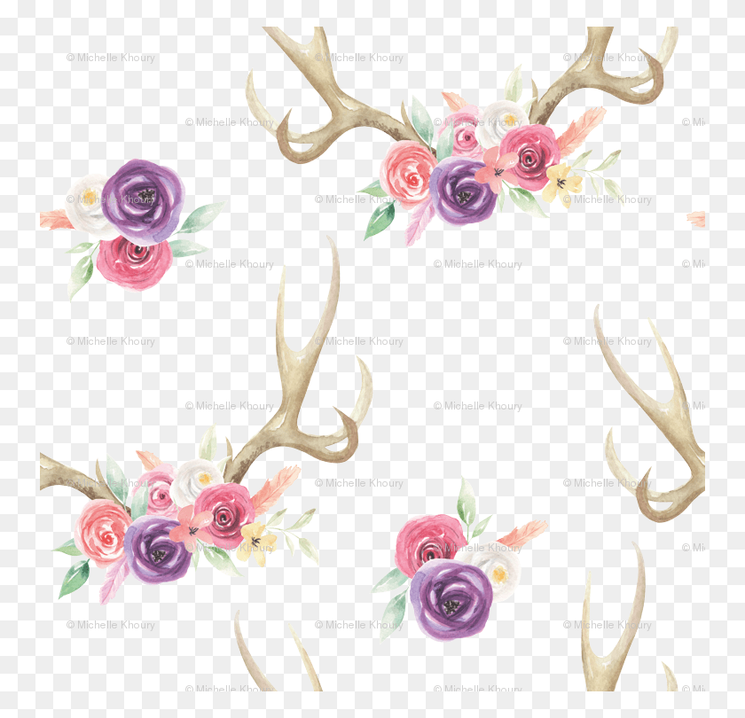 750x750 Garden Roses, Antler HD PNG Download