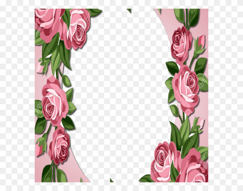 600x600 Las Rosas De Jardín, Gráficos, Diseño Floral Hd Png