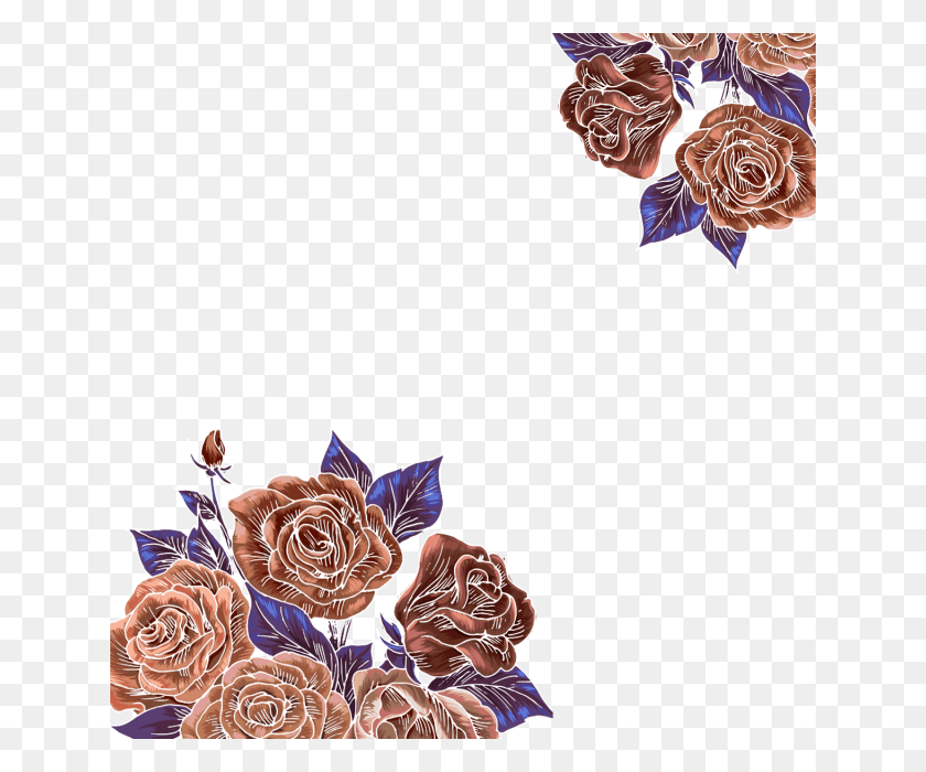 640x640 Las Rosas De Jardín, Gráficos, Diseño Floral Hd Png
