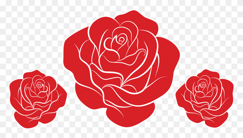 2365x1266 Las Rosas De Jardín, Rose, Flor, Planta Hd Png