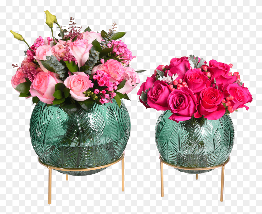 1953x1565 Садовые Розы, Растение, Цветок, Цветение Hd Png Скачать