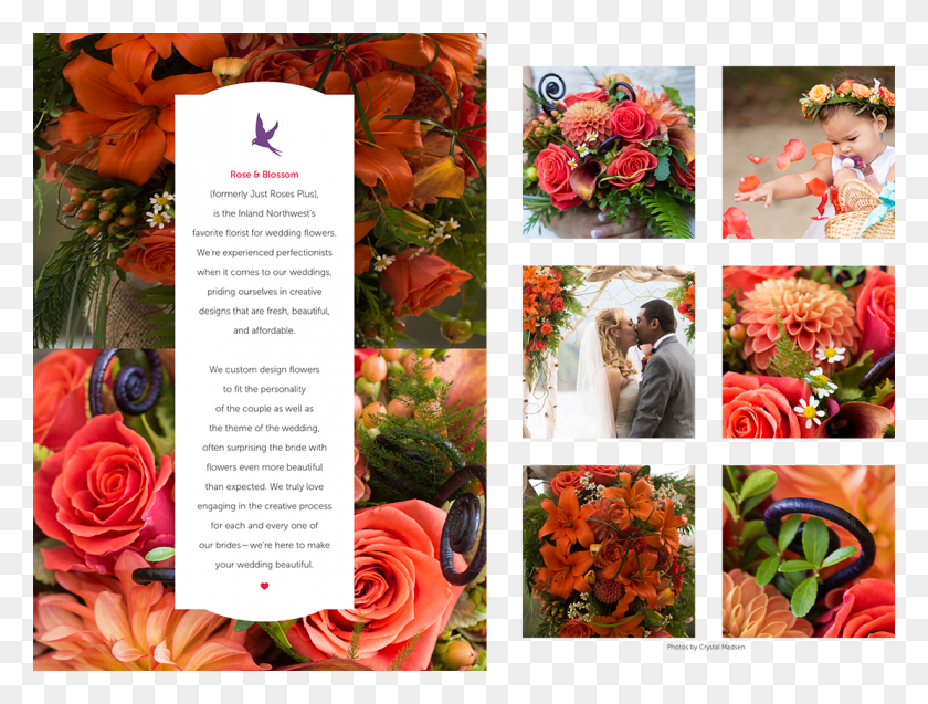 1111x823 Garden Roses, Collage, Poster, Advertisement HD PNG Download