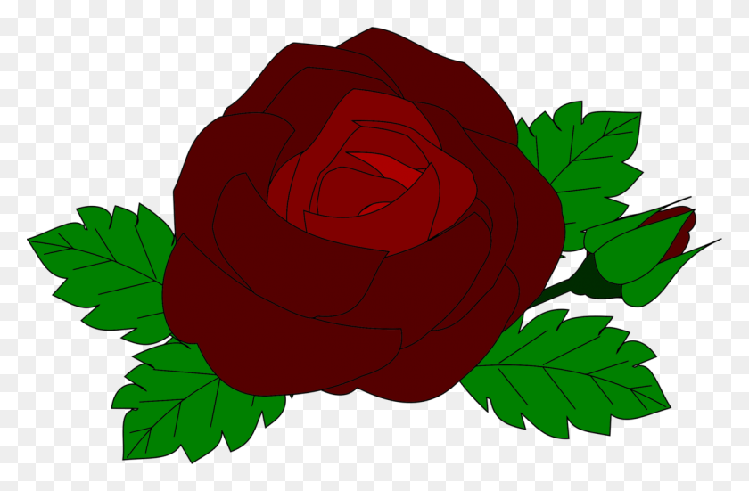 1190x750 Garden Roses Flower Drawing Rose Family Red Rose Favicon, Plant, Blossom HD PNG Download