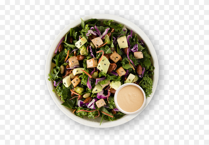 525x521 Garden Salad, Plant, Food, Meal HD PNG Download
