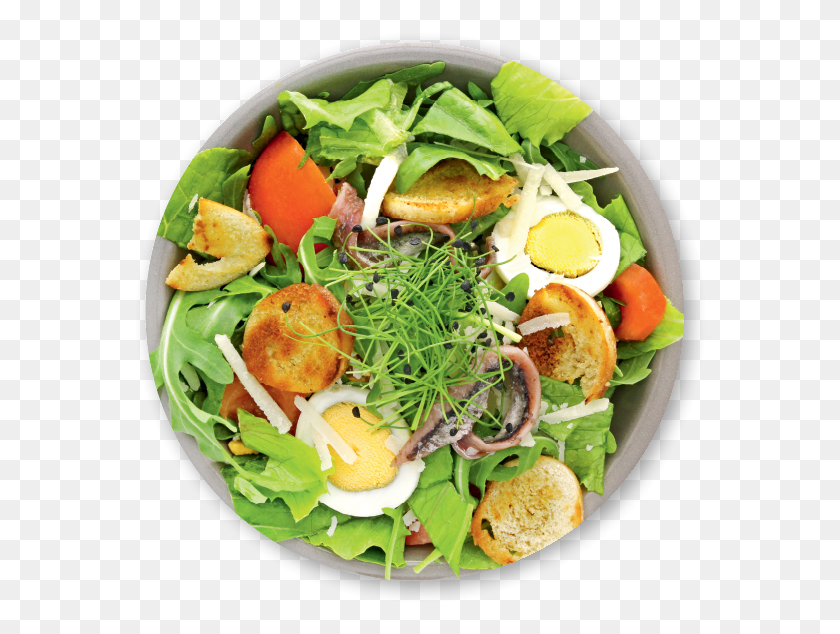 574x574 Garden Salad Chicken Green Leaf Salad, Plant, Food, Produce HD PNG Download