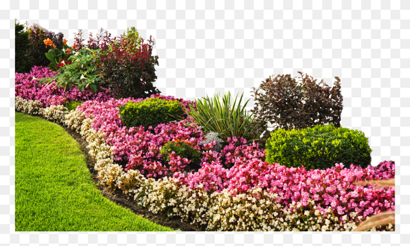 1025x586 Garden Transparent Flower Garden, Grass, Plant, Outdoors HD PNG Download