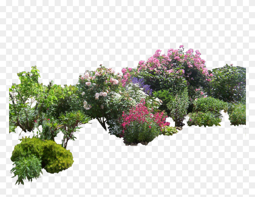 1024x773 Garden Transparent Image Garden, Plant, Outdoors, Flower HD PNG Download