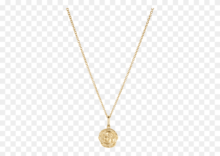 338x536 Gardenia Medallion 65 Locket, Collar, Joyas, Accesorios Hd Png