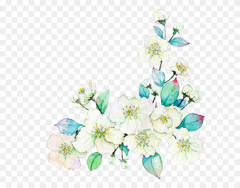 596x601 Гардения Вектор Акварель Живопись Цветы Белый, Растение, Цветочный Дизайн, Узор Hd Png Скачать