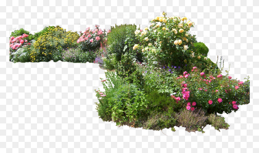 1025x574 Gardening File Garden, Outdoors, Plant, Arbour Descargar Hd Png