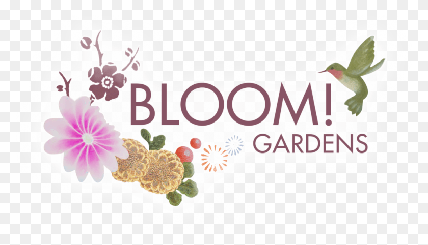 1003x543 Gardens Amp Nursery Logo White Background Glow Gaudi Jeans Amp Style, Bird, Animal, Plant HD PNG Download
