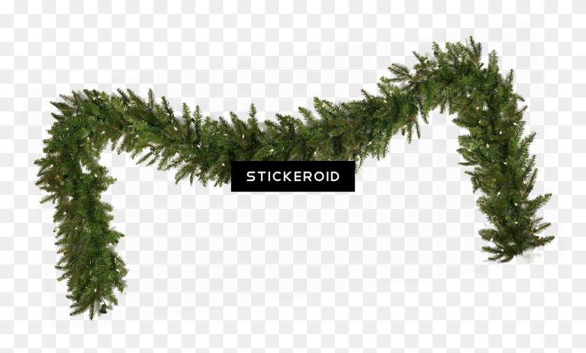 1582x907 Garland Christmas Simple, Plant, Moss, Tree HD PNG Download