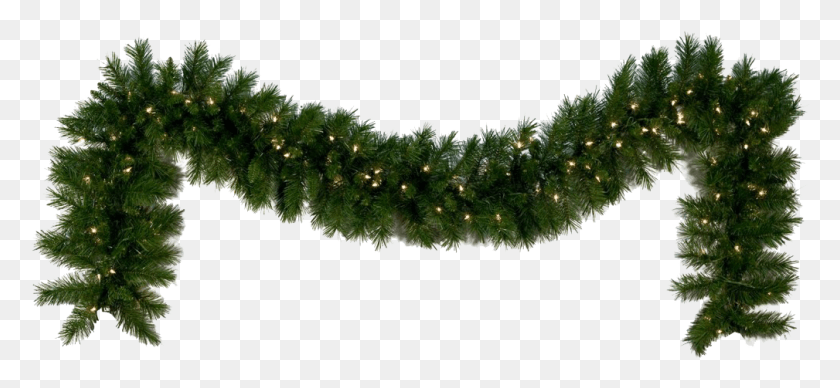 1009x425 Garland Picture, Tree, Plant, Pine HD PNG Download