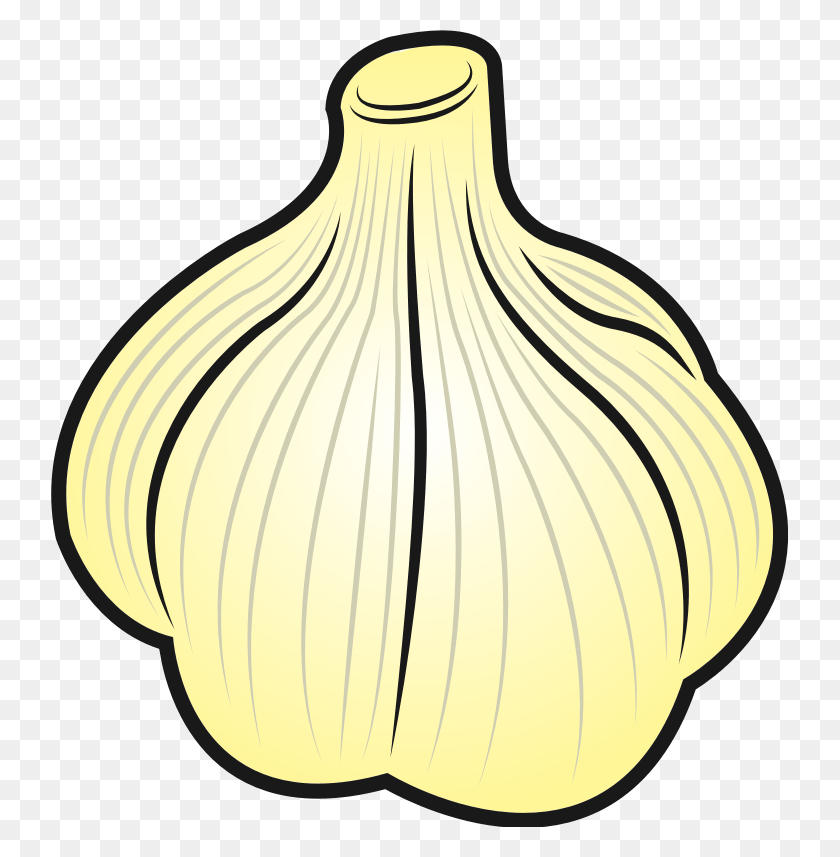 737x797 Garlic Clip Art Garlic Clipart, Plant, Vegetable, Food HD PNG Download