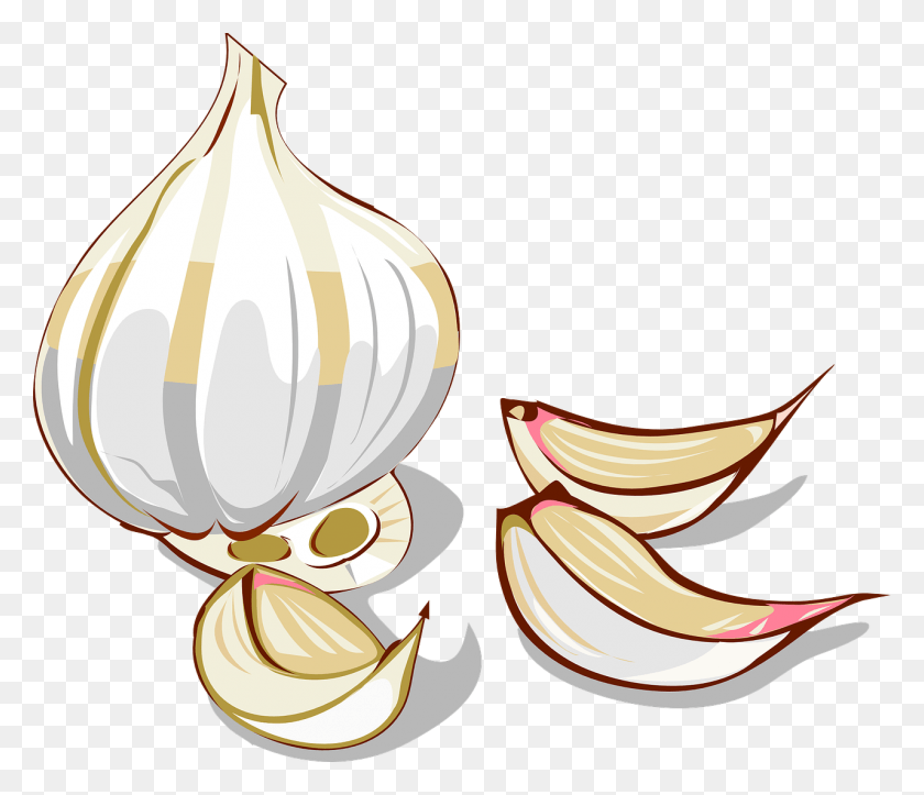 1280x1088 Garlic Clipart, Plant, Vegetable, Food HD PNG Download