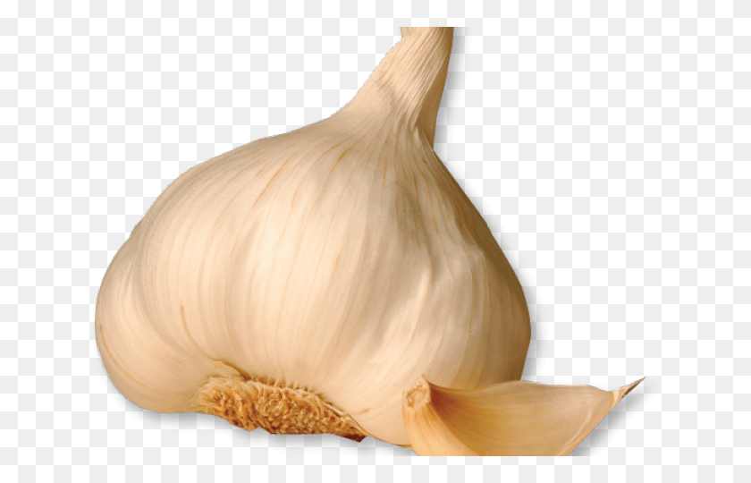 640x480 Garlic Clipart Garlic Bulb Garlic, Plant, Vegetable, Food HD PNG Download