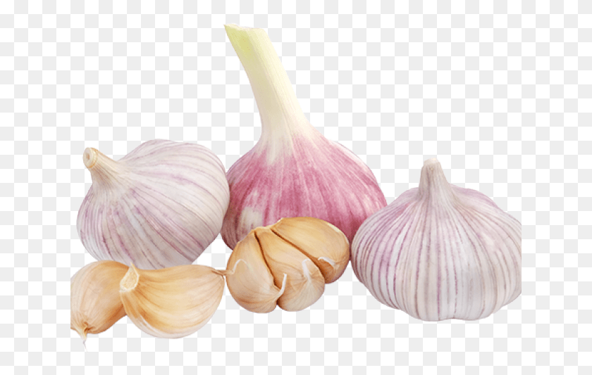 641x473 Garlic Clipart Transparent Background Garlic Vegetable, Plant, Food, Fungus HD PNG Download