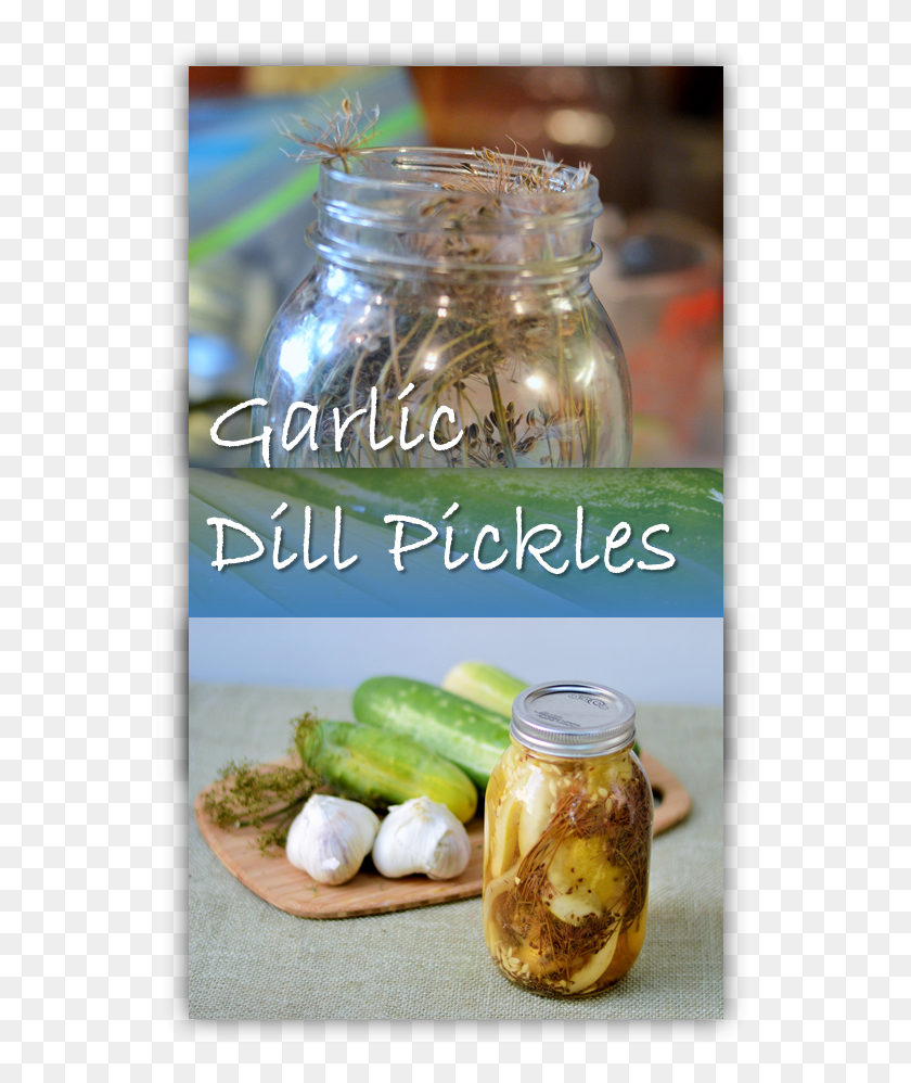 553x938 Garlic Dill Pickles Canning Pickled Cucumber, Relish, Food, Jar HD PNG Download