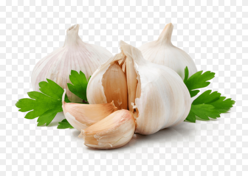 886x610 Garlic Extract Garlic Herbal, Plant, Vegetable, Food HD PNG Download