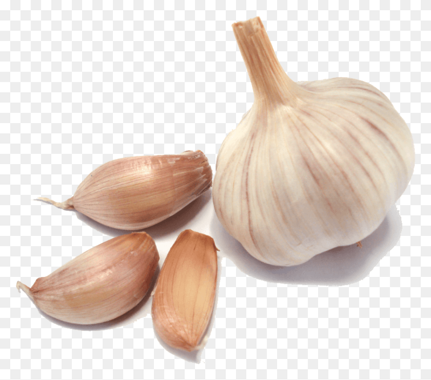 839x733 Garlic Group Transparent Garlic, Plant, Vegetable, Food HD PNG Download