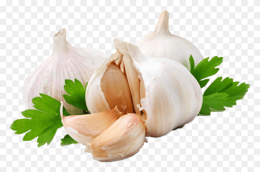 1086x691 Garlic Image Garlic, Plant, Vegetable, Food HD PNG Download