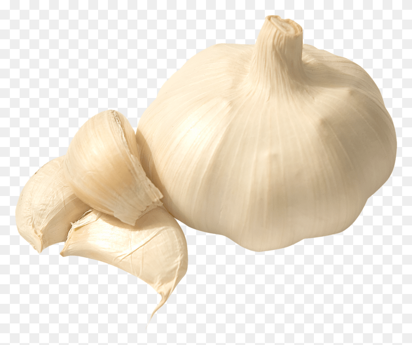 1360x1123 Garlic Images Background Elephant Garlic, Plant, Vegetable, Food HD PNG Download