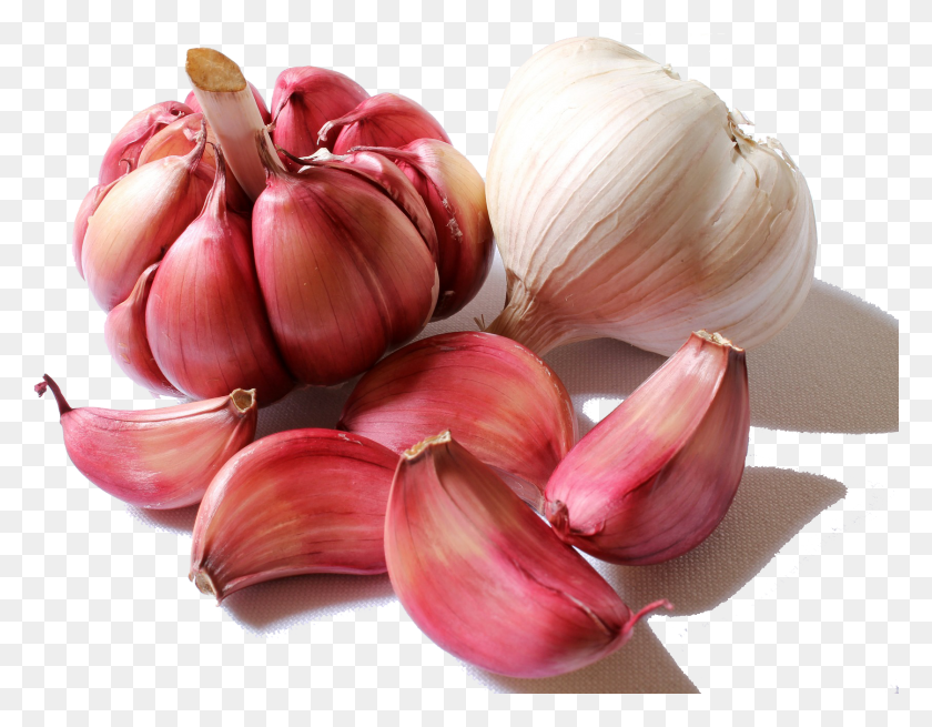 1677x1281 Garlic Red Garlic, Plant, Vegetable, Food HD PNG Download