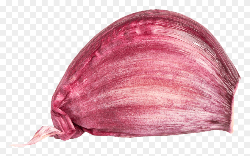 900x538 Garlic Red Onion Red Onion, Plant, Clam, Seashell HD PNG Download