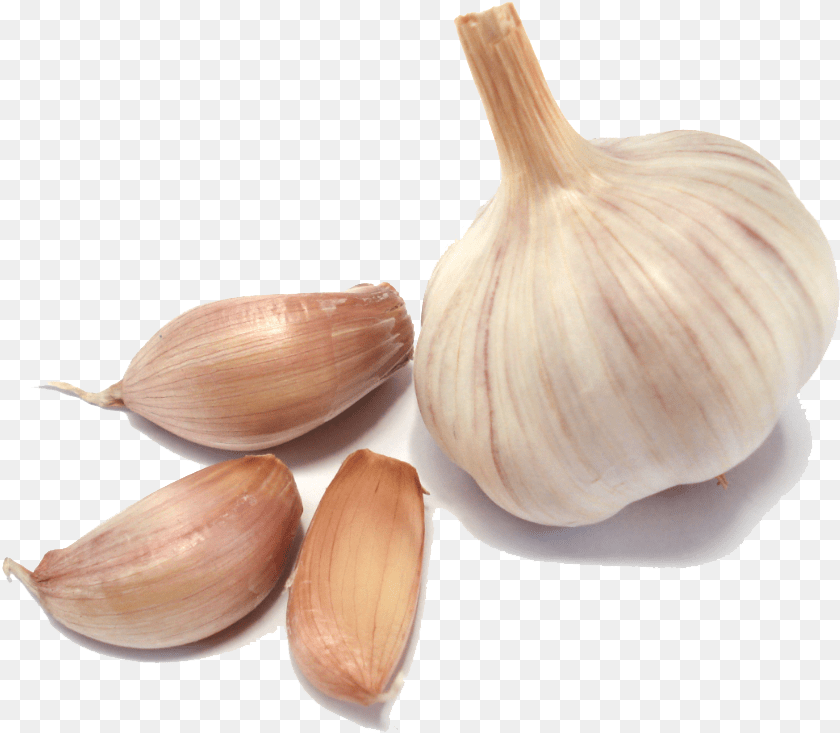 Garlic Images Garlic Food, Produce, Plant, Vegetable Transparent PNG