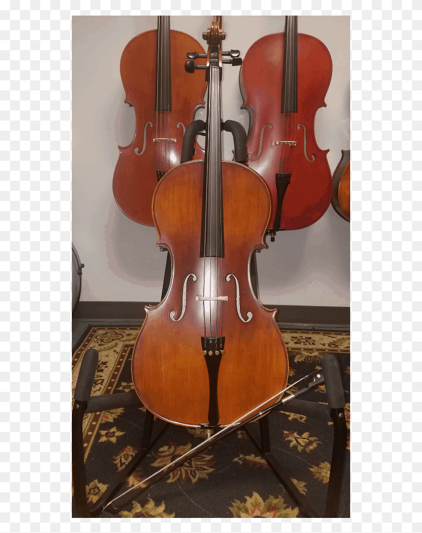 555x1001 Gatchell 12 Size Cello, Musical Instrument HD PNG Download
