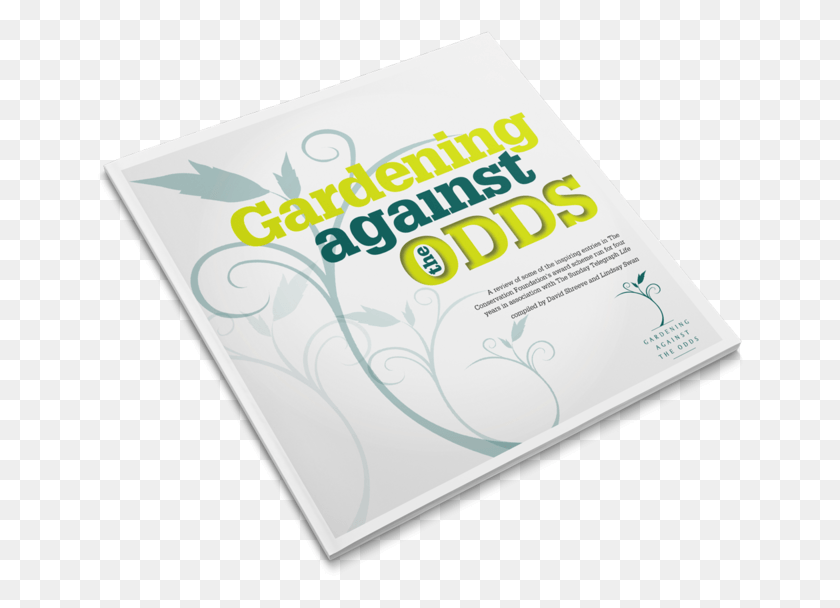 649x548 Gato Cover, Flyer, Poster, Paper HD PNG Download